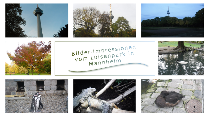 Eines der Bilder in dieser Galerie.