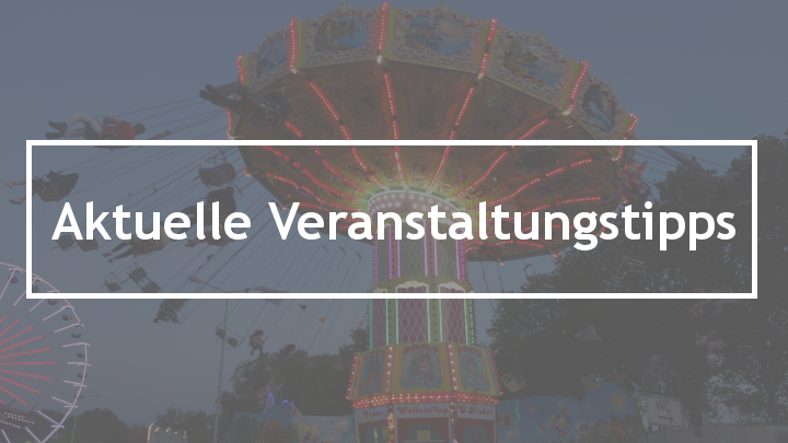 Dieses Foto zeigt einen Wellenflieger auf einem Volksfest